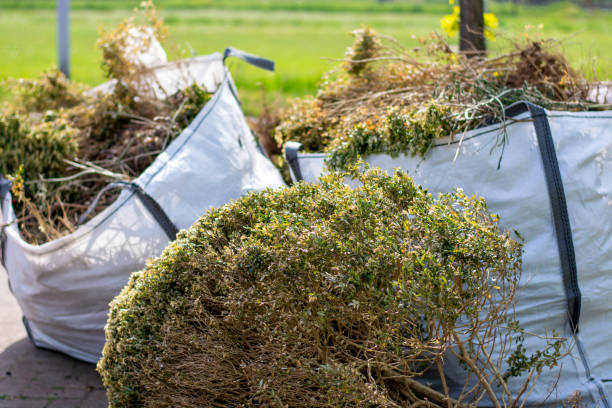 Yard Cleanup Services in Clinton, MS