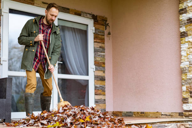 Best Yard Cleanup Services  in Clinton, MS